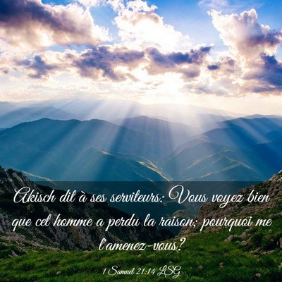 Picture 03 - 1 Samuel 21:14 LSG - Akisch dit à ses serviteurs: Vous voyez bien que - Bible Verse Picture