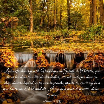 Picture 03 - 1 Samuel 21:9 LSG - Le sacrificateur répondit: Voici l'épée de - Bible Verse Picture