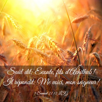 Picture 03 - 1 Samuel 22:12 LSG - Saül dit: Ecoute, fils d'Achithub! Il répondit: - Bible Verse Picture