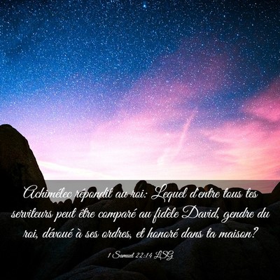 Picture 03 - 1 Samuel 22:14 LSG - Achimélec répondit au roi: Lequel d'entre tous - Bible Verse Picture