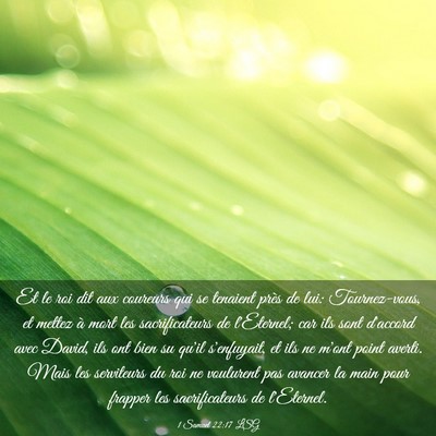 Picture 03 - 1 Samuel 22:17 LSG - Et le roi dit aux coureurs qui se tenaient près - Bible Verse Picture