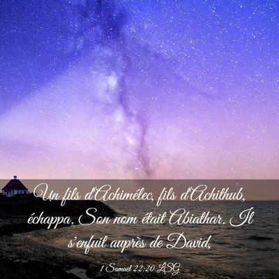 Picture 03 - 1 Samuel 22:20 LSG - Un fils d'Achimélec, fils d'Achithub, échappa. - Bible Verse Picture