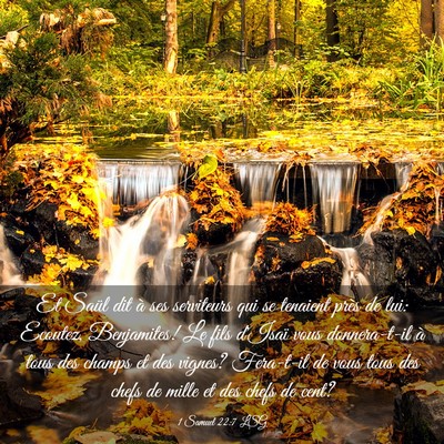 Picture 03 - 1 Samuel 22:7 LSG - Et Saül dit à ses serviteurs qui se tenaient - Bible Verse Picture