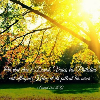 Picture 03 - 1 Samuel 23:1 LSG - On vint dire à David: Voici, les Philistins ont - Bible Verse Picture