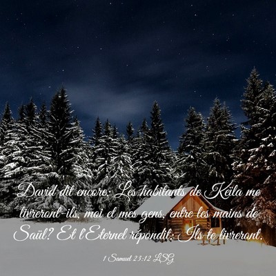 Picture 03 - 1 Samuel 23:12 LSG - David dit encore: Les habitants de Keïla me - Bible Verse Picture