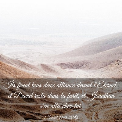 Picture 03 - 1 Samuel 23:18 LSG - Ils firent tous deux alliance devant l'Eternel; - Bible Verse Picture