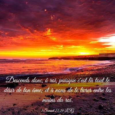 Picture 03 - 1 Samuel 23:20 LSG - Descends donc, ô roi, puisque c'est là tout le - Bible Verse Picture