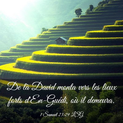 Picture 03 - 1 Samuel 23:29 LSG - De là David monta vers les lieux forts - Bible Verse Picture