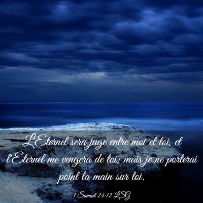 Picture 03 - 1 Samuel 24:12 LSG - L'Eternel sera juge entre moi et toi, et - Bible Verse Picture
