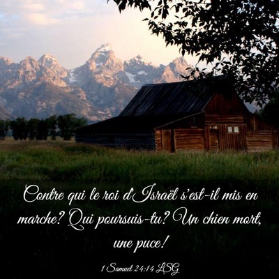 Picture 03 - 1 Samuel 24:14 LSG - Contre qui le roi d'Israël s'est-il mis en - Bible Verse Picture