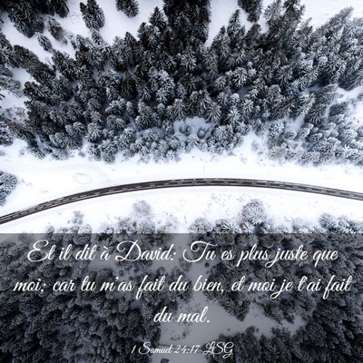 Picture 03 - 1 Samuel 24:17 LSG - Et il dit à David: Tu es plus juste que moi; car - Bible Verse Picture