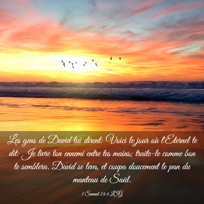 Picture 03 - 1 Samuel 24:4 LSG - Les gens de David lui dirent: Voici le jour où - Bible Verse Picture