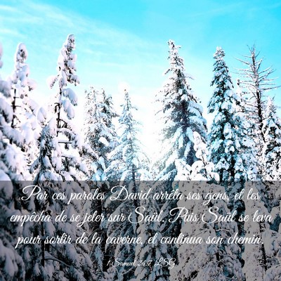 Picture 03 - 1 Samuel 24:7 LSG - Par ces paroles David arrêta ses gens, et les - Bible Verse Picture