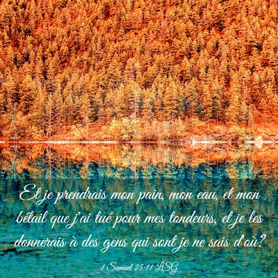 Picture 03 - 1 Samuel 25:11 LSG - Et je prendrais mon pain, mon eau, et mon bétail - Bible Verse Picture