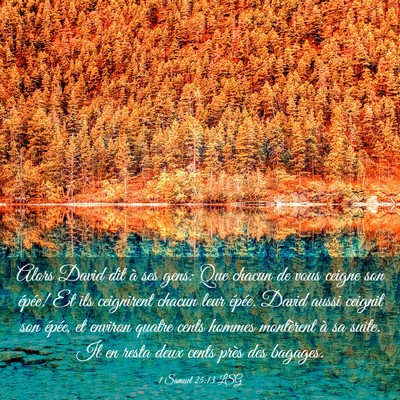 Picture 03 - 1 Samuel 25:13 LSG - Alors David dit à ses gens: Que chacun de vous - Bible Verse Picture