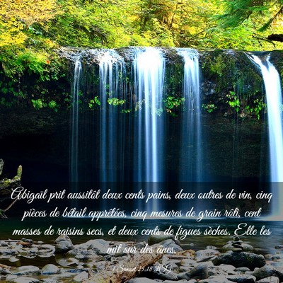 Picture 03 - 1 Samuel 25:18 LSG - Abigaïl prit aussitôt deux cents pains, deux - Bible Verse Picture