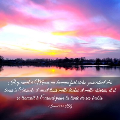 Picture 03 - 1 Samuel 25:2 LSG - Il y avait à Maon un homme fort riche, - Bible Verse Picture