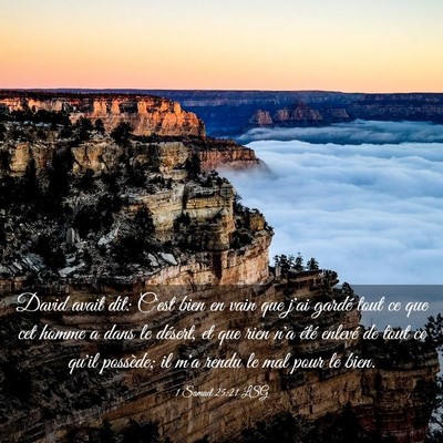 Picture 03 - 1 Samuel 25:21 LSG - David avait dit: C'est bien en vain que j'ai - Bible Verse Picture