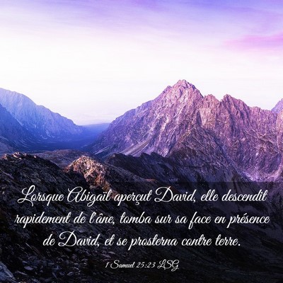 Picture 03 - 1 Samuel 25:23 LSG - Lorsque Abigaïl aperçut David, elle descendit - Bible Verse Picture