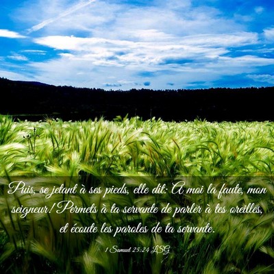 Picture 03 - 1 Samuel 25:24 LSG - Puis, se jetant à ses pieds, elle dit: A moi la - Bible Verse Picture