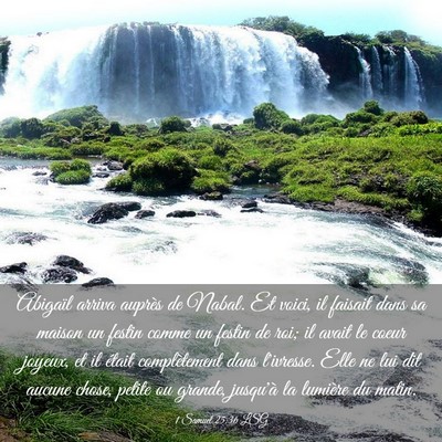 Picture 03 - 1 Samuel 25:36 LSG - Abigaïl arriva auprès de Nabal. Et voici, il - Bible Verse Picture