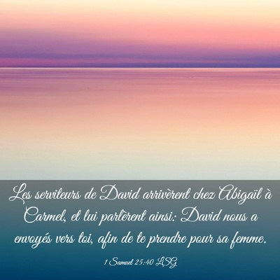 Picture 03 - 1 Samuel 25:40 LSG - Les serviteurs de David arrivèrent chez Abigaïl - Bible Verse Picture