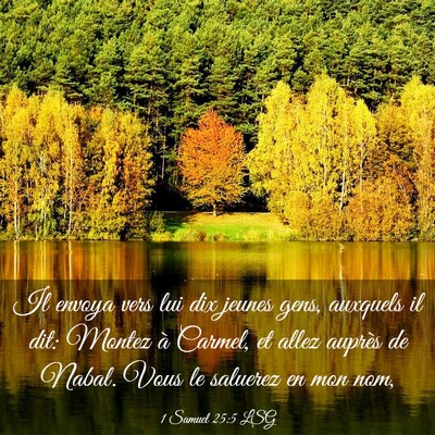 Picture 03 - 1 Samuel 25:5 LSG - Il envoya vers lui dix jeunes gens, auxquels il - Bible Verse Picture