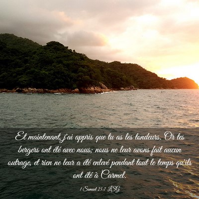 Picture 03 - 1 Samuel 25:7 LSG - Et maintenant, j'ai appris que tu as les - Bible Verse Picture