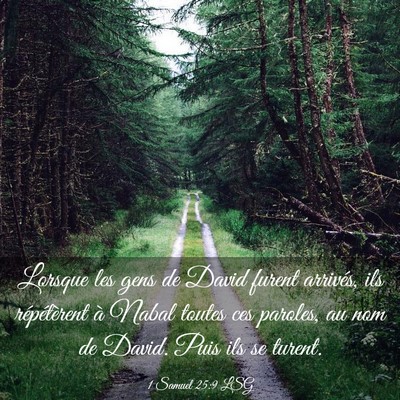 Picture 03 - 1 Samuel 25:9 LSG - Lorsque les gens de David furent arrivés, ils - Bible Verse Picture