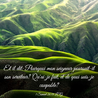 Picture 03 - 1 Samuel 26:18 LSG - Et il dit: Pourquoi mon seigneur poursuit-il son - Bible Verse Picture