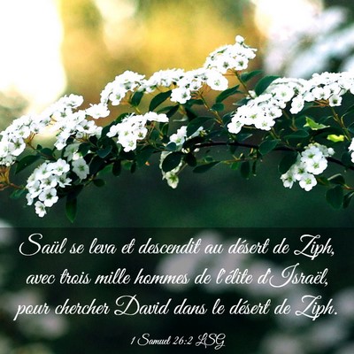 Picture 03 - 1 Samuel 26:2 LSG - Saül se leva et descendit au désert de Ziph, - Bible Verse Picture