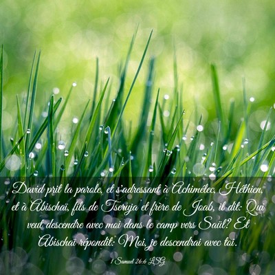 Picture 03 - 1 Samuel 26:6 LSG - David prit la parole, et s'adressant à - Bible Verse Picture