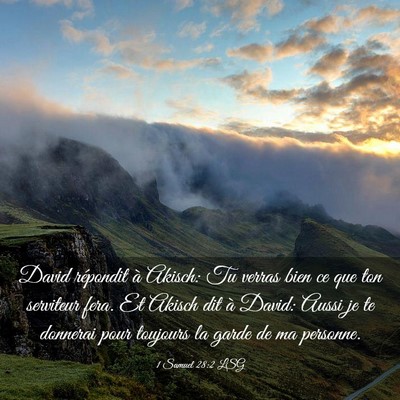 Picture 03 - 1 Samuel 28:2 LSG - David répondit à Akisch: Tu verras bien ce que - Bible Verse Picture