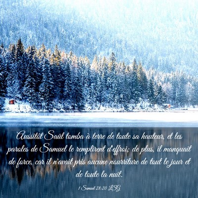 Picture 03 - 1 Samuel 28:20 LSG - Aussitôt Saül tomba à terre de toute sa - Bible Verse Picture