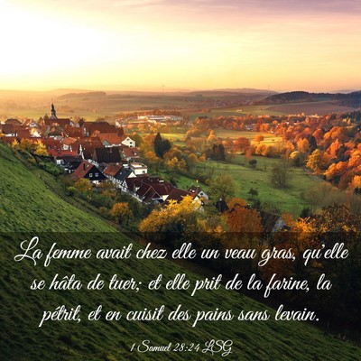 Picture 03 - 1 Samuel 28:24 LSG - La femme avait chez elle un veau gras, qu'elle se - Bible Verse Picture