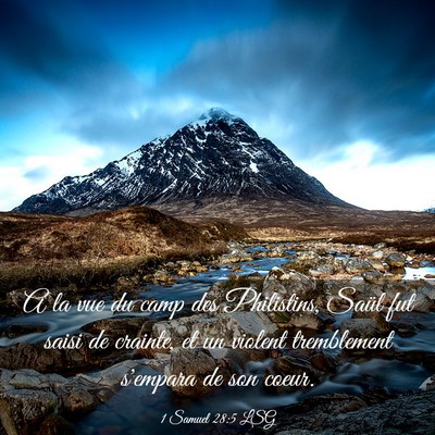 Picture 03 - 1 Samuel 28:5 LSG - A la vue du camp des Philistins, Saül fut saisi - Bible Verse Picture