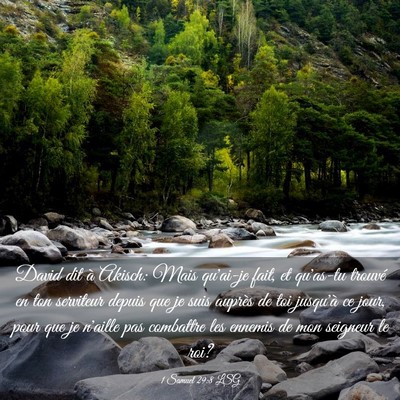 Picture 03 - 1 Samuel 29:8 LSG - David dit à Akisch: Mais qu'ai-je fait, et - Bible Verse Picture