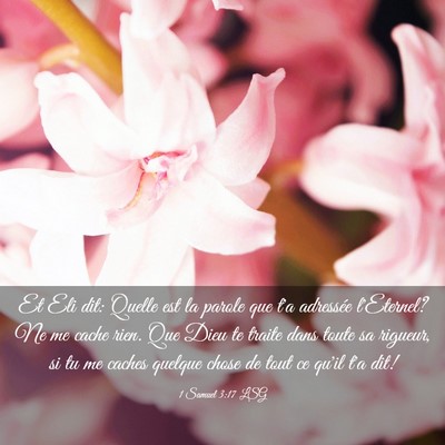 Picture 03 - 1 Samuel 3:17 LSG - Et Eli dit: Quelle est la parole que t'a - Bible Verse Picture