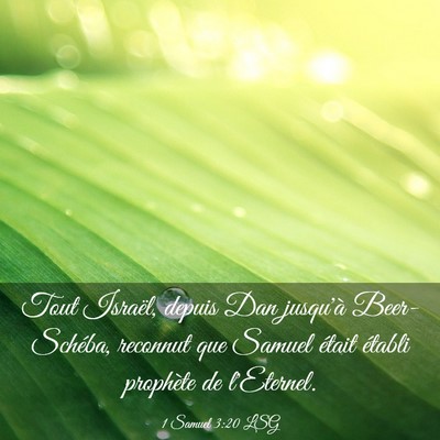 Picture 03 - 1 Samuel 3:20 LSG - Tout Israël, depuis Dan jusqu'à Beer-Schéba, - Bible Verse Picture