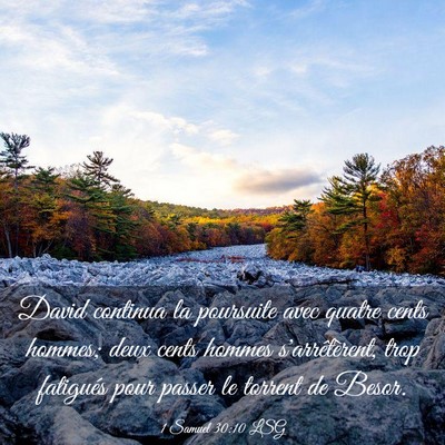 Picture 03 - 1 Samuel 30:10 LSG - David continua la poursuite avec quatre cents - Bible Verse Picture
