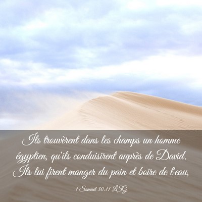 Picture 03 - 1 Samuel 30:11 LSG - Ils trouvèrent dans les champs un homme - Bible Verse Picture