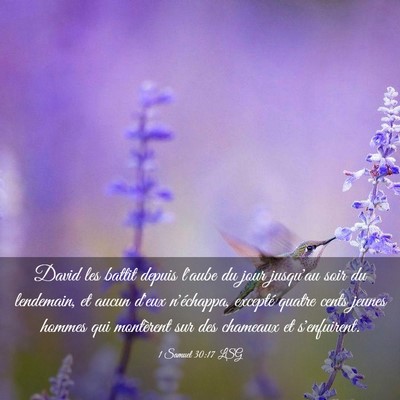 Picture 03 - 1 Samuel 30:17 LSG - David les battit depuis l'aube du jour jusqu'au - Bible Verse Picture