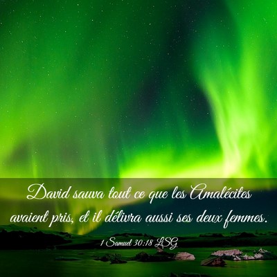 Picture 03 - 1 Samuel 30:18 LSG - David sauva tout ce que les Amalécites avaient - Bible Verse Picture