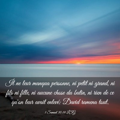 Picture 03 - 1 Samuel 30:19 LSG - Il ne leur manqua personne, ni petit ni grand, ni - Bible Verse Picture