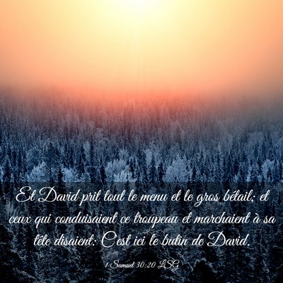 Picture 03 - 1 Samuel 30:20 LSG - Et David prit tout le menu et le gros bétail; et - Bible Verse Picture