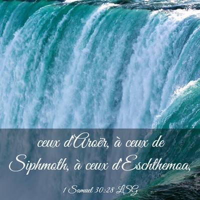Picture 03 - 1 Samuel 30:28 LSG - ceux d'Aroër, à ceux de Siphmoth, à ceux - Bible Verse Picture