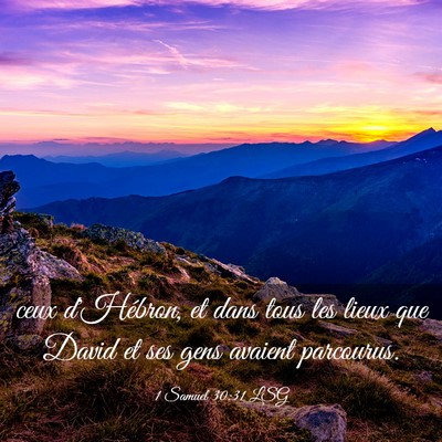 Picture 03 - 1 Samuel 30:31 LSG - ceux d'Hébron, et dans tous les lieux que David - Bible Verse Picture