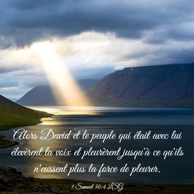 Picture 03 - 1 Samuel 30:4 LSG - Alors David et le peuple qui était avec lui - Bible Verse Picture