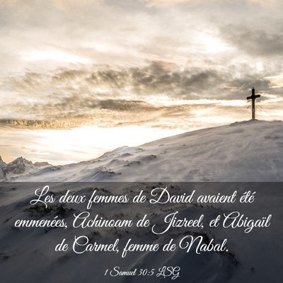 Picture 03 - 1 Samuel 30:5 LSG - Les deux femmes de David avaient été emmenées, - Bible Verse Picture