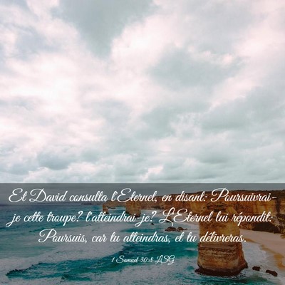 Picture 03 - 1 Samuel 30:8 LSG - Et David consulta l'Eternel, en disant: - Bible Verse Picture